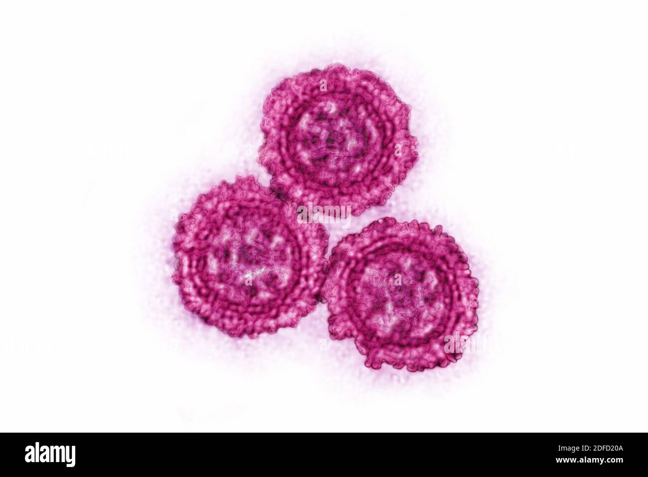 Coronavirus Foto Stock