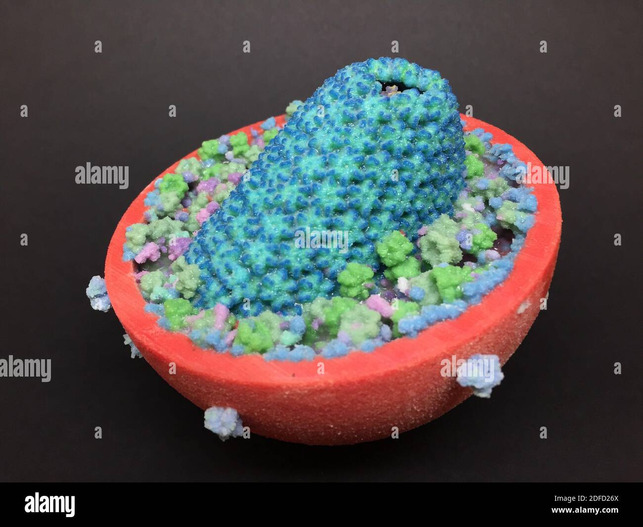 modello 3d di hiv Foto Stock