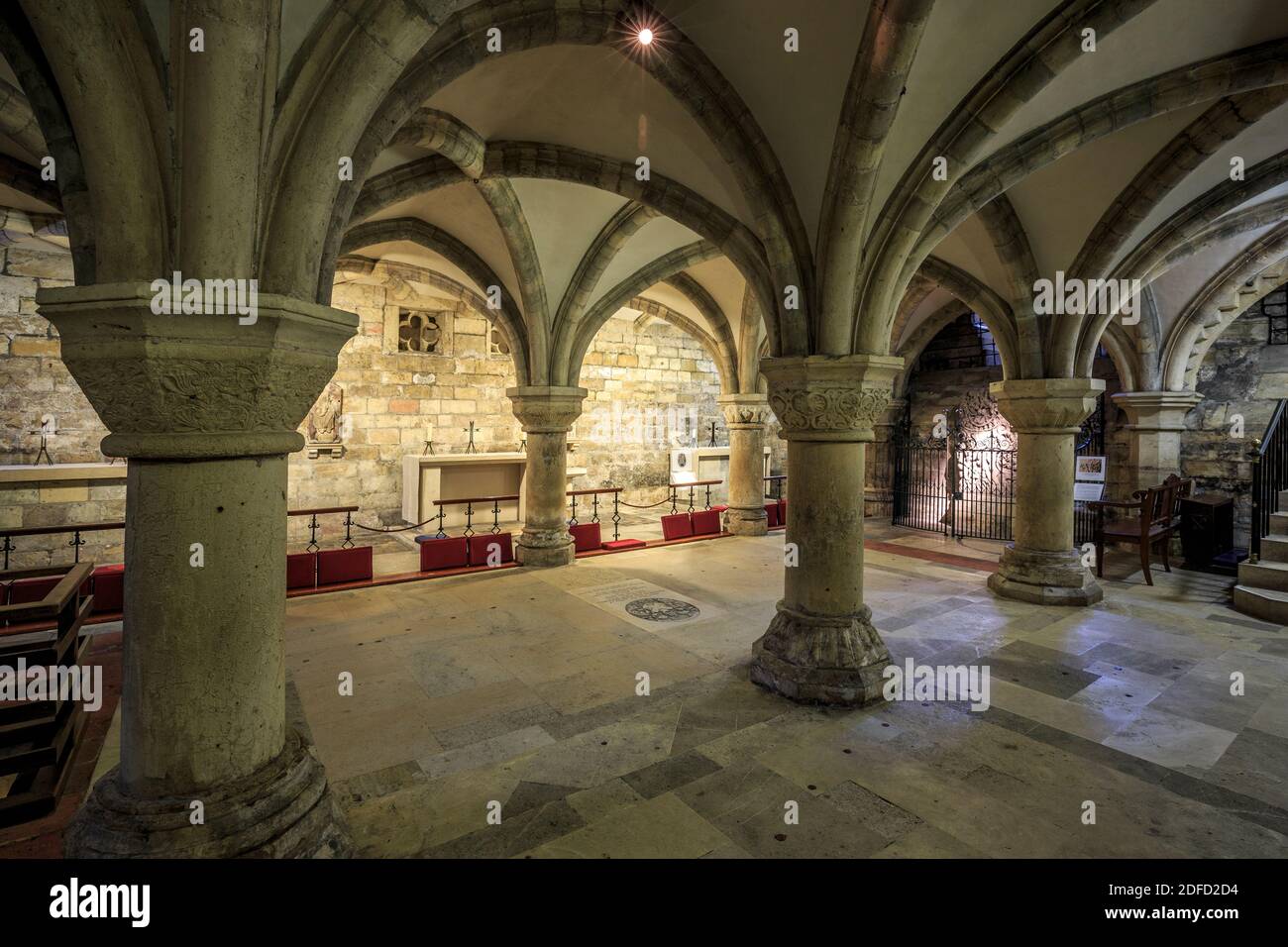 Archi e colonne, cripta, York Minster (la Cattedrale e la Chiesa Metropolitan di San Pietro), York, Yorkshire, Inghilterra, Regno Unito Foto Stock