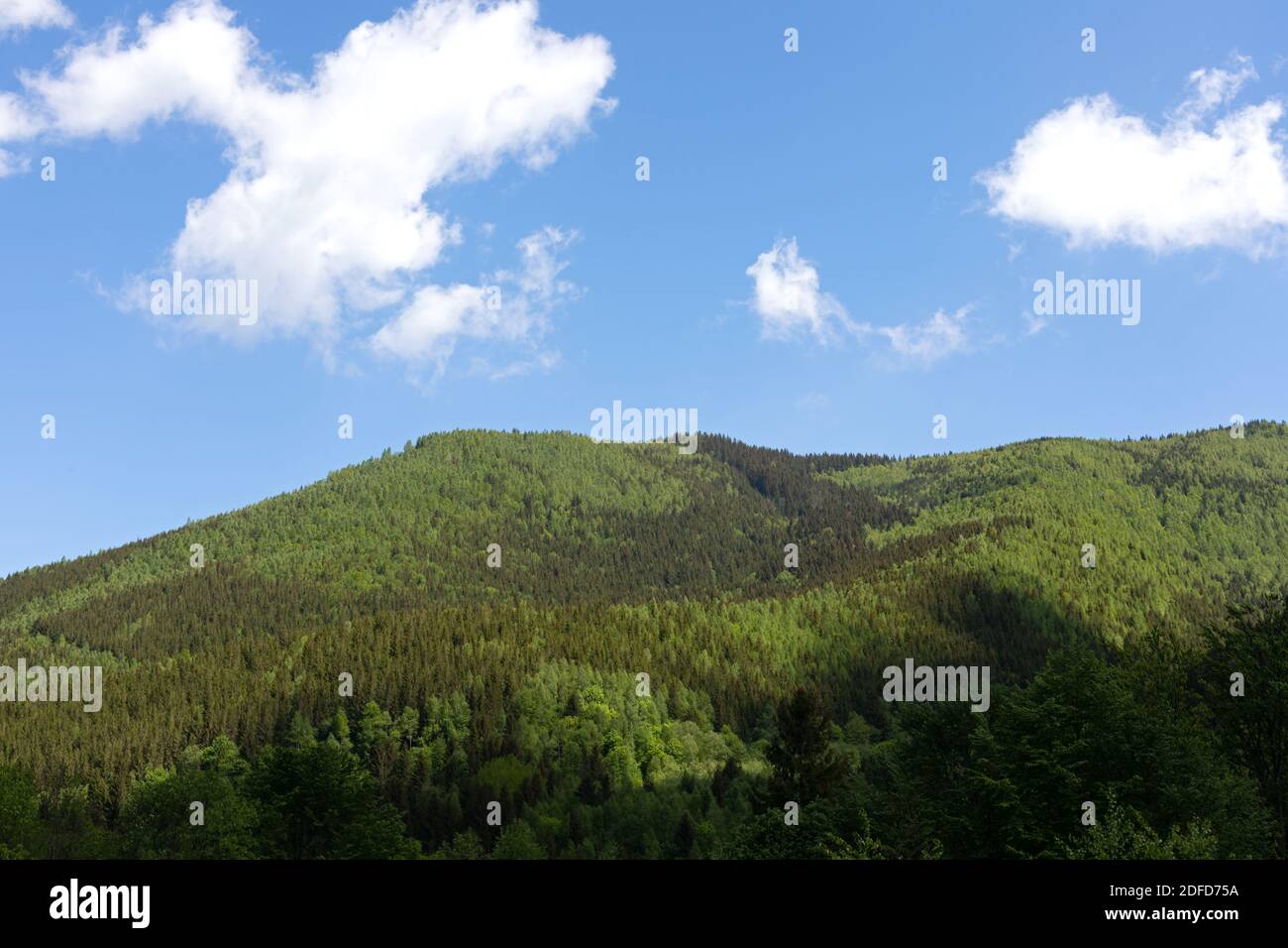Foto scenografica della bellissima natura nelle montagne degli Afuseni , Transilvania in estate Foto Stock