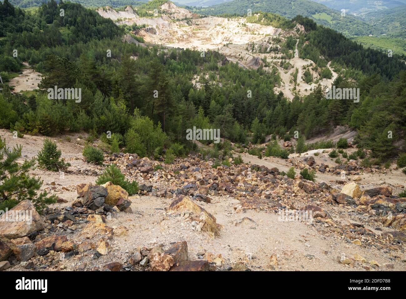 Foto scenografica della bellissima natura nelle montagne degli Afuseni , Transilvania in estate Foto Stock