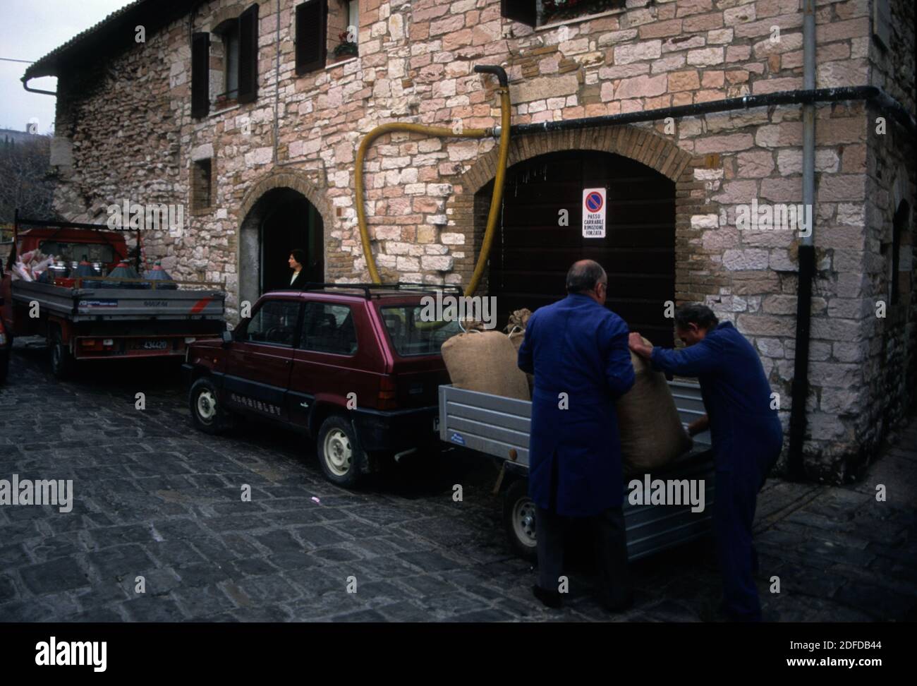 Produzione di olive e olio d'oliva, Umbria, Italia centrale Foto Stock