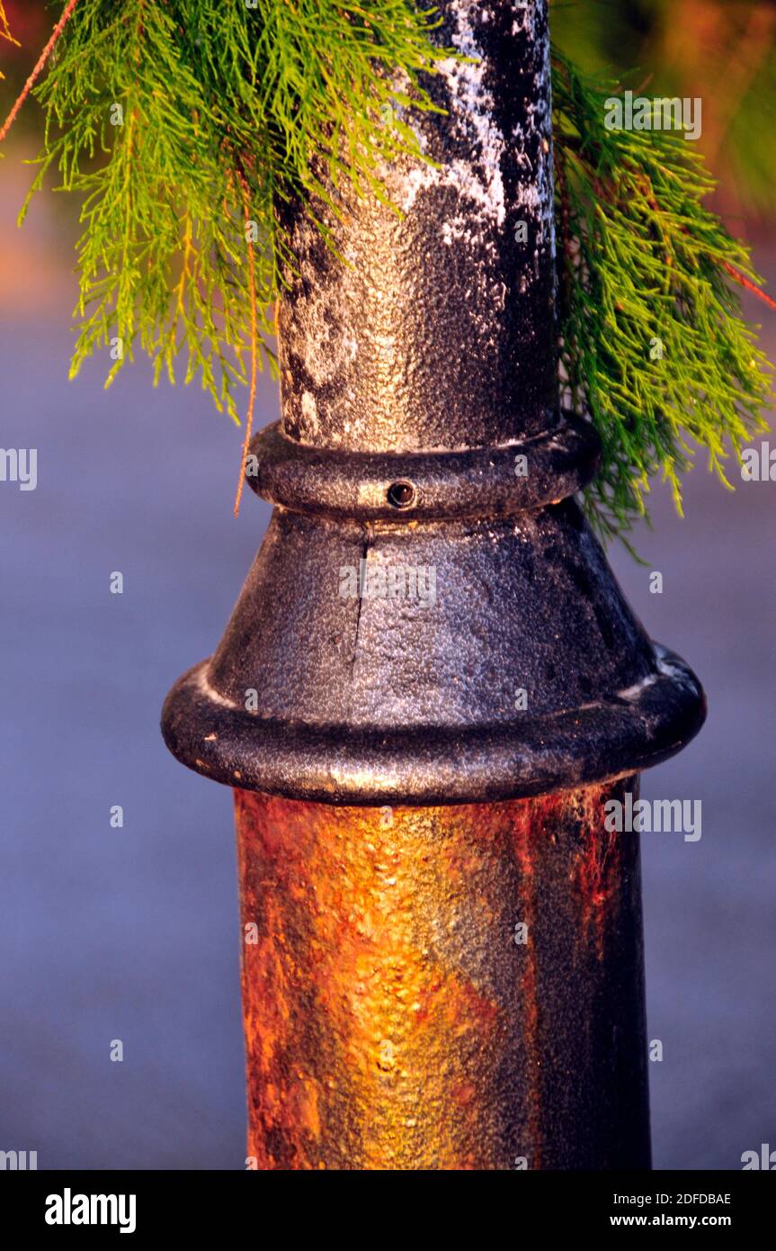 Dettaglio astratto di un lampione arrugginito con foglie di albero che raggiungono il basso, Grecia Foto Stock