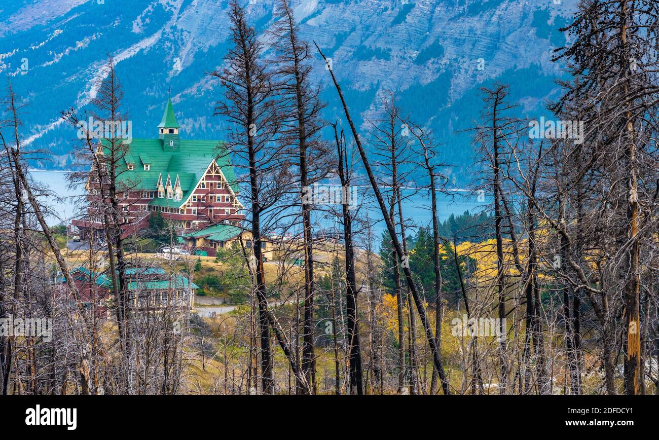 Bears Hump sentiero escursionistico dopo Kenow Wildfire in autunno 2020. Waterton Lakes National Park, Alberta, Canada. Foto Stock