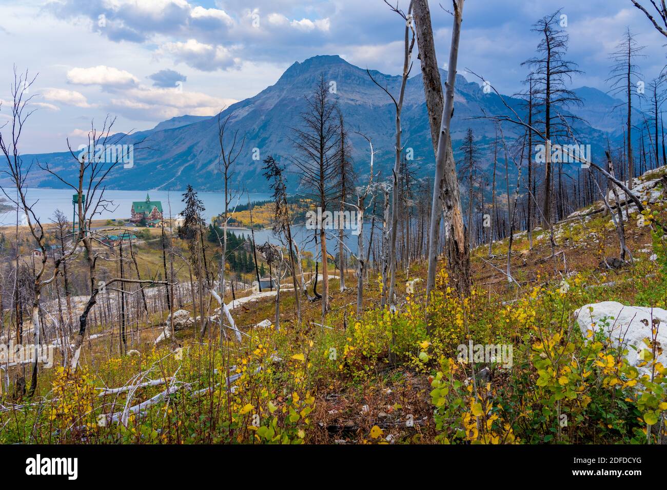 Bears Hump sentiero escursionistico dopo Kenow Wildfire in autunno 2020. Waterton Lakes National Park, Alberta, Canada. Foto Stock