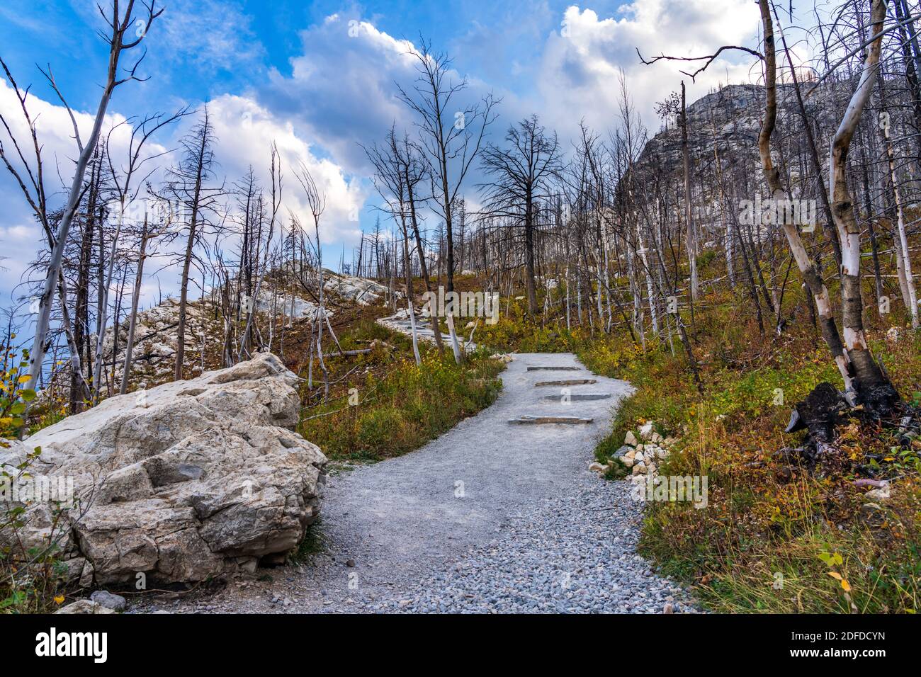 Bears Hump sentiero escursionistico dopo Kenow Wildfire in autunno 2020. Waterton Lakes National Park, Alberta, Canada. Foto Stock