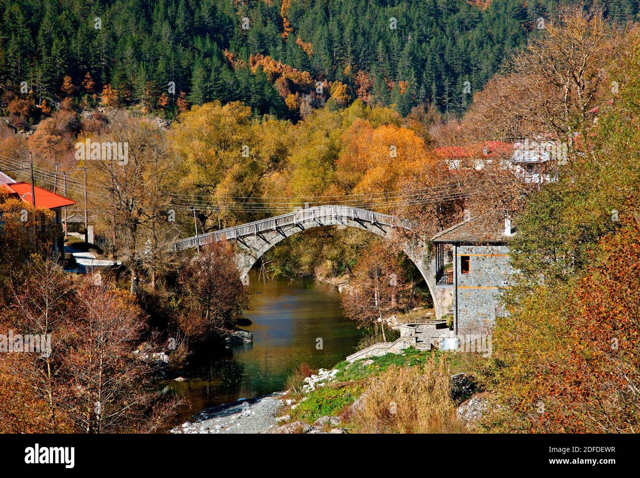 Il vecchio ponte di pietra sul fiume Aoos in villaggio Vovoussa, regione di Zagori Ioannina,, Epiro, Grecia. Foto Stock
