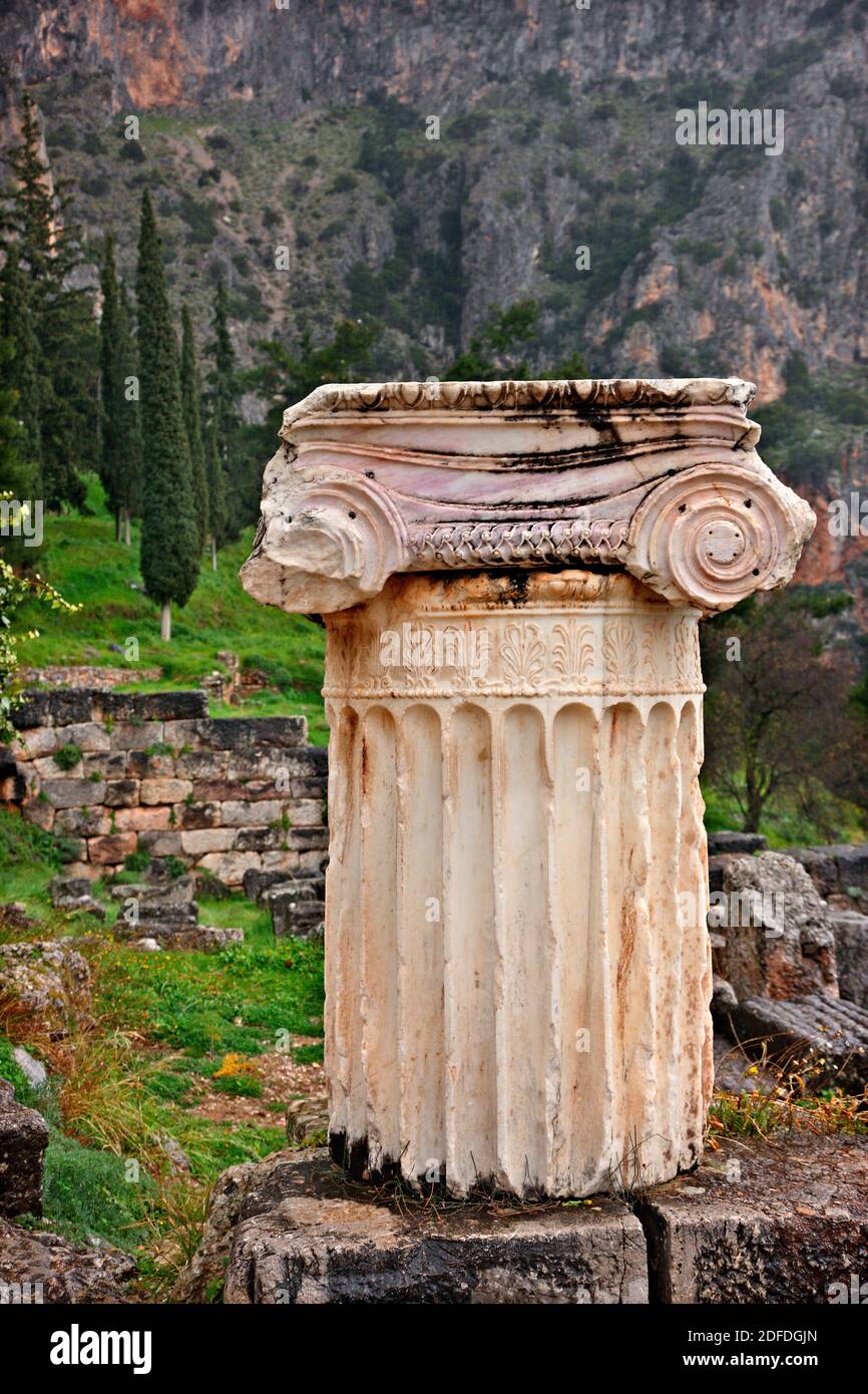 Antica colonna (Ordine Ionin) presso il sito archeologico di Delfi, FOKIDA, Centro, Grecia. Foto Stock