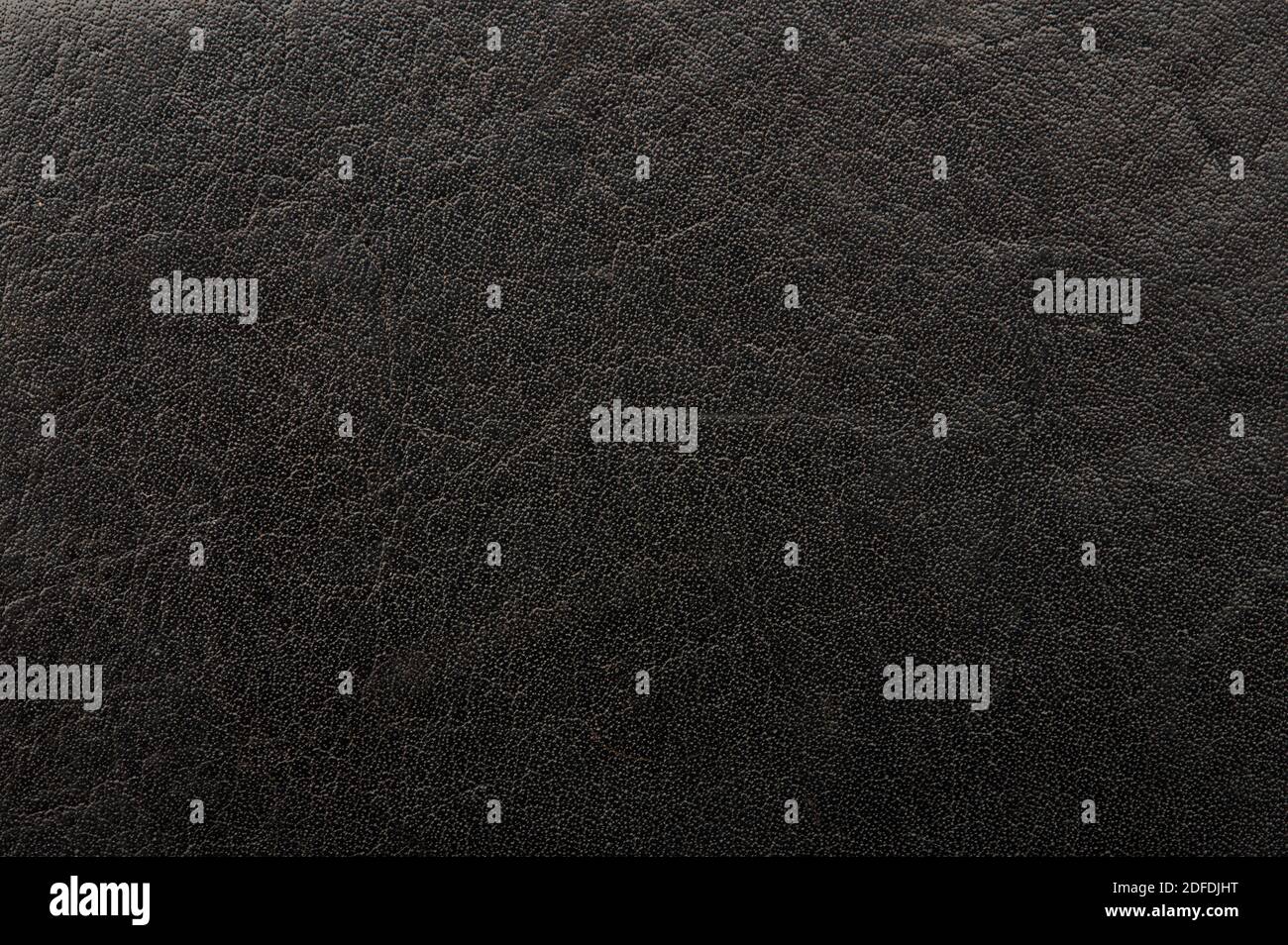 Ruvida pelle nera texture sfondo clsoe up vista Foto Stock
