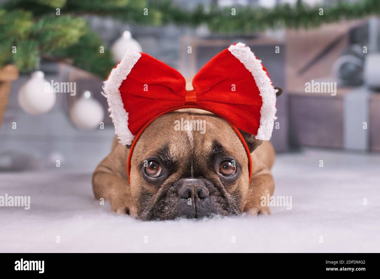 Simpatici ornamenti natalizi in acrilico 2D con corna di cane bulldog francese, ricordo per animali domestici, ornamenti da appendere per alberi di Natale, palline di Natale, Capodanno, vacanze