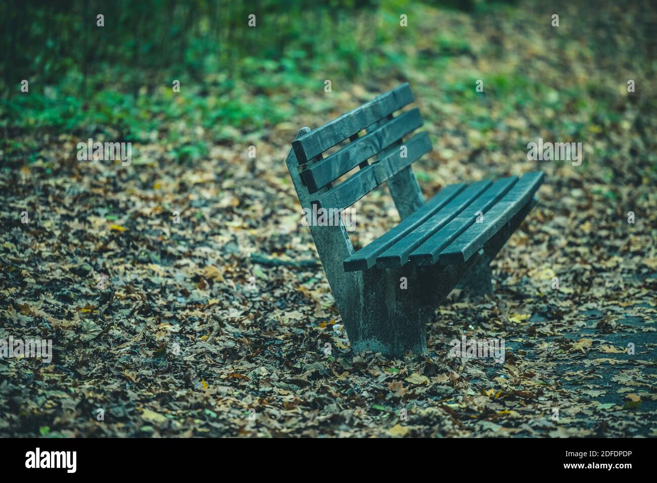 Panca solitaria nel parco autunnale Foto Stock