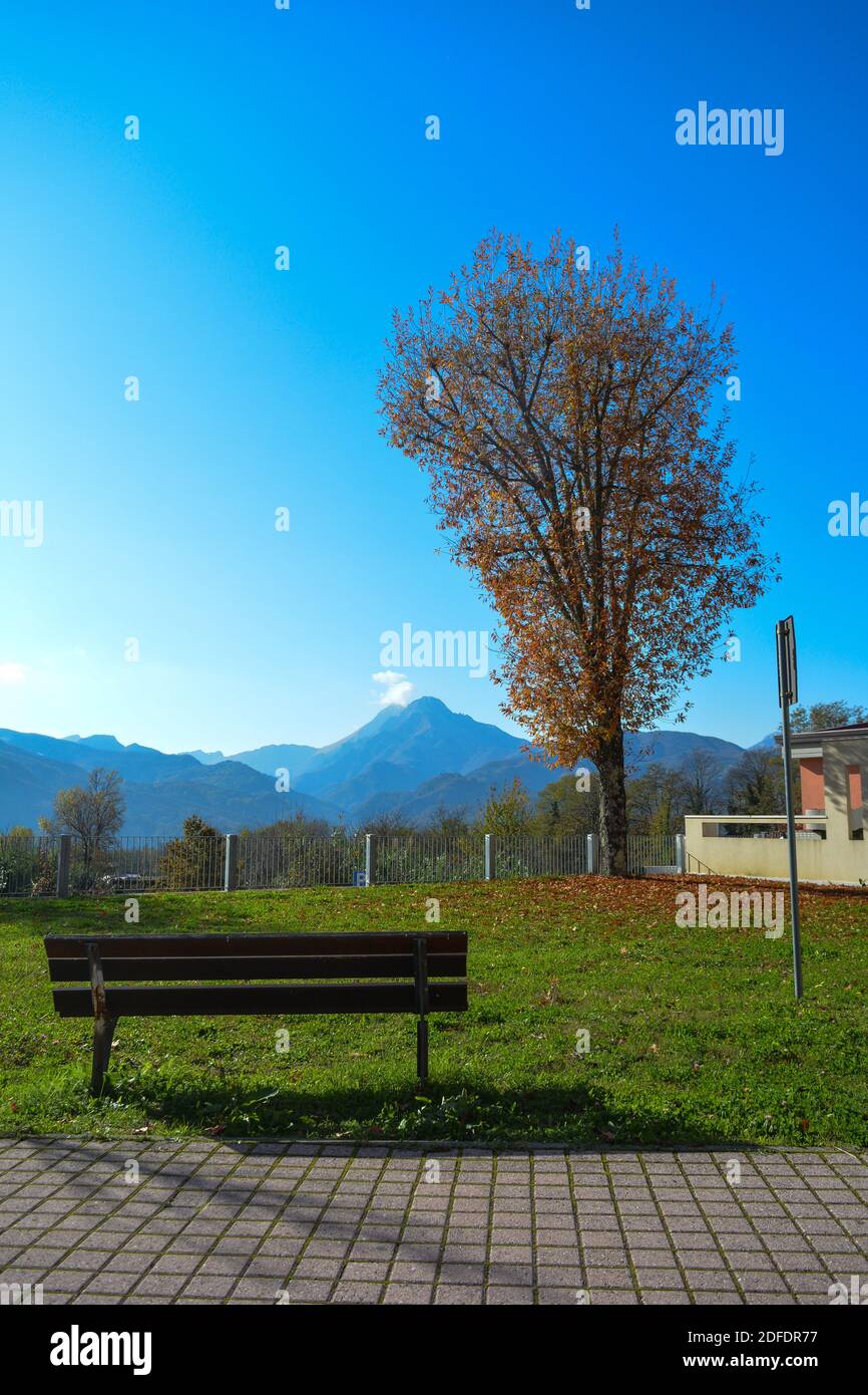 Un luogo panoramico dove sedersi e rilassarsi, panca di legno accanto a un marciapiede, vista su un albero con foglie gialle e montagne blu Foto Stock