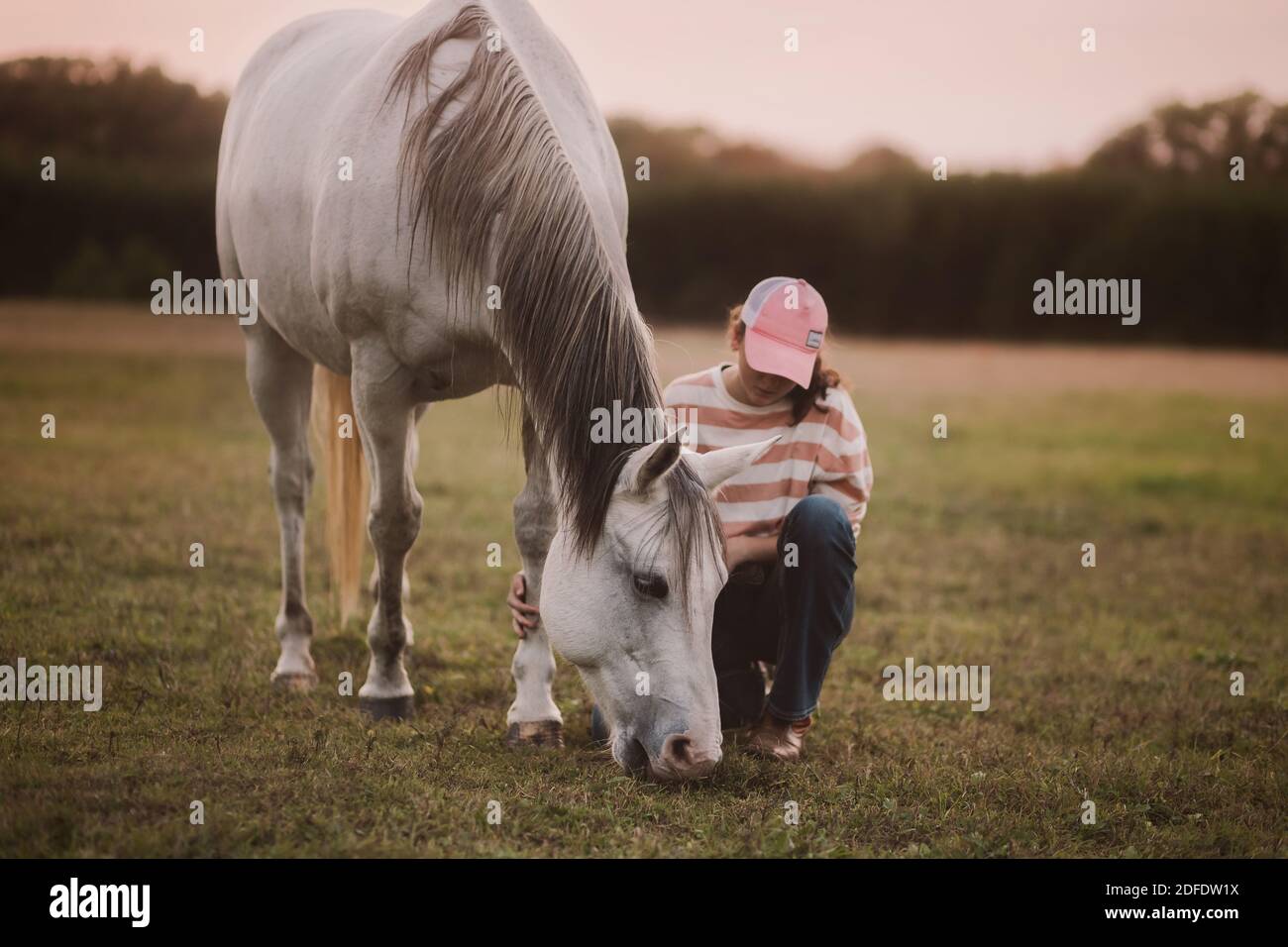 Il tocco di un cavallo Foto Stock