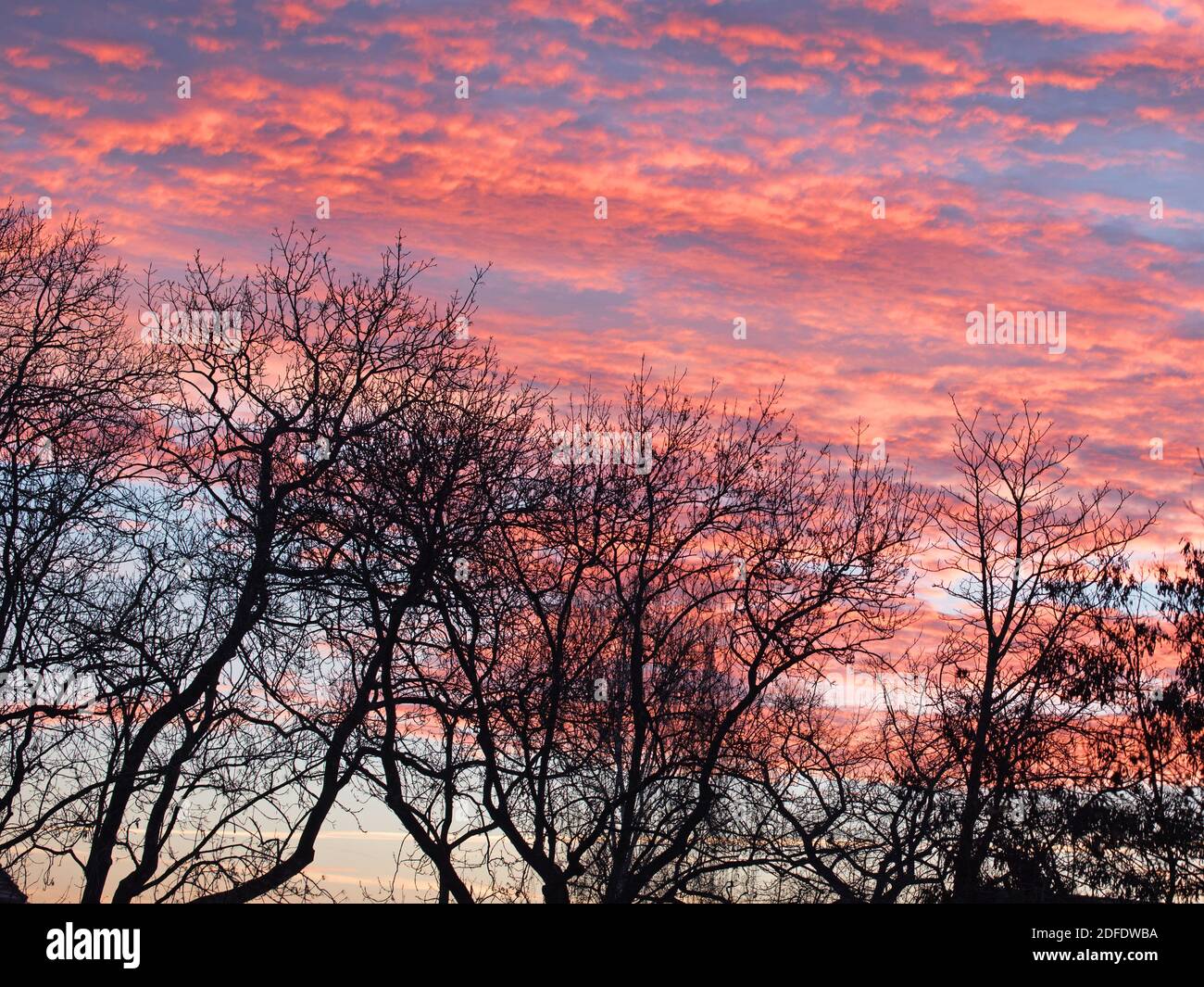 Tinta rossastra del cielo orientale, alba Foto Stock