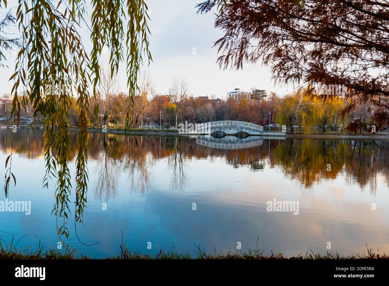 Parco Bordei a Bucarest in colori autunnali che si riflette nelle acque calme del lago Foto Stock