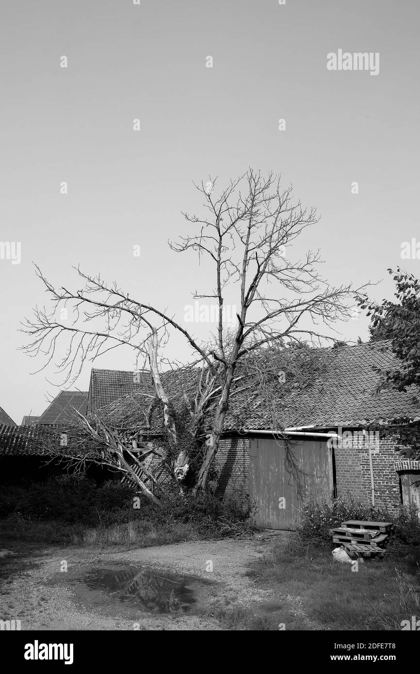 Una scala di grigi verticale delle rovine di un vecchio costruire con in un campo Foto Stock