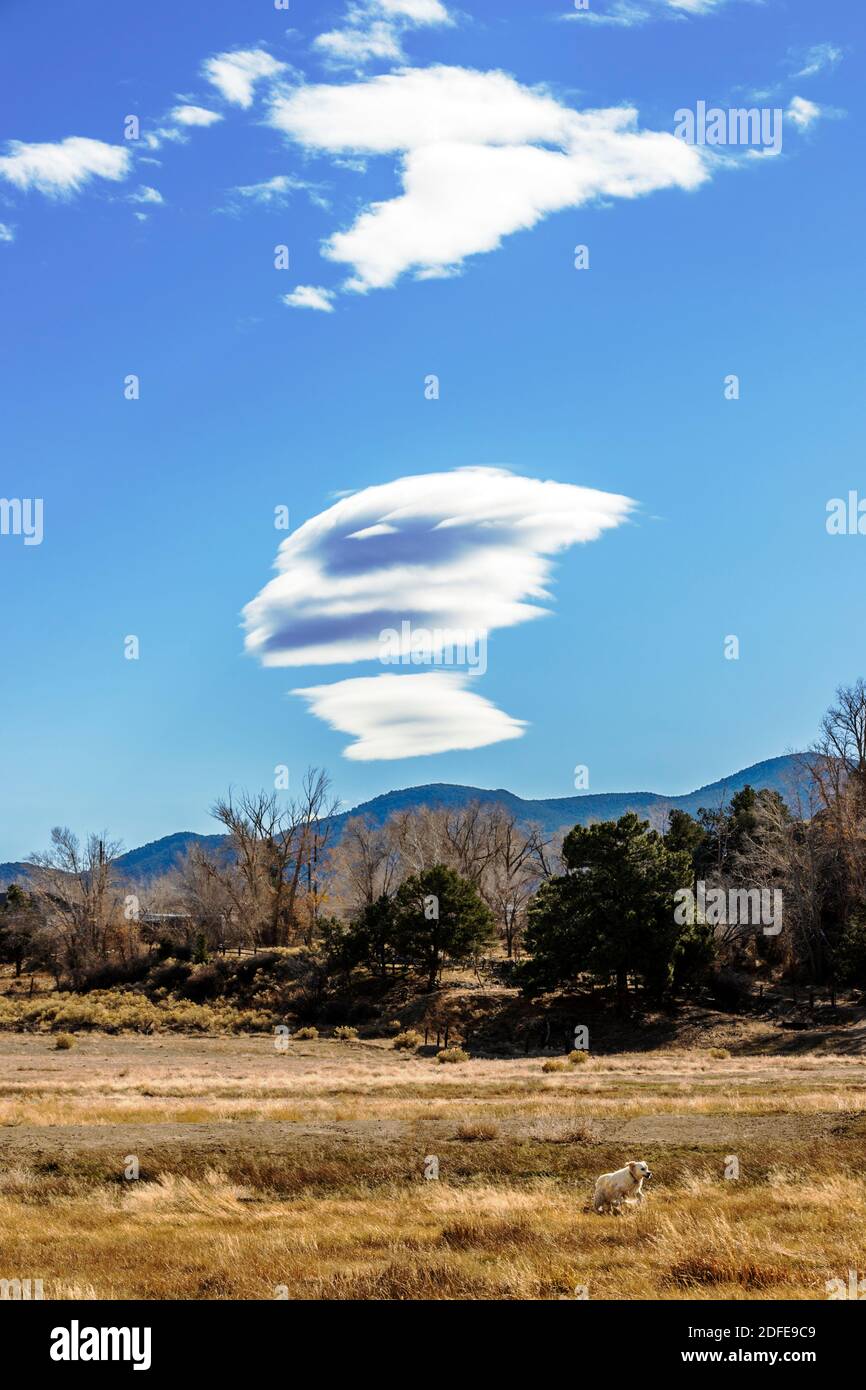 Nuvole lenticolari e formazione di nubi insolite sul Big Horn Sheep Canyon; Platinum Coloured Golden Retriever cane; Salida; Colorado; USA Foto Stock