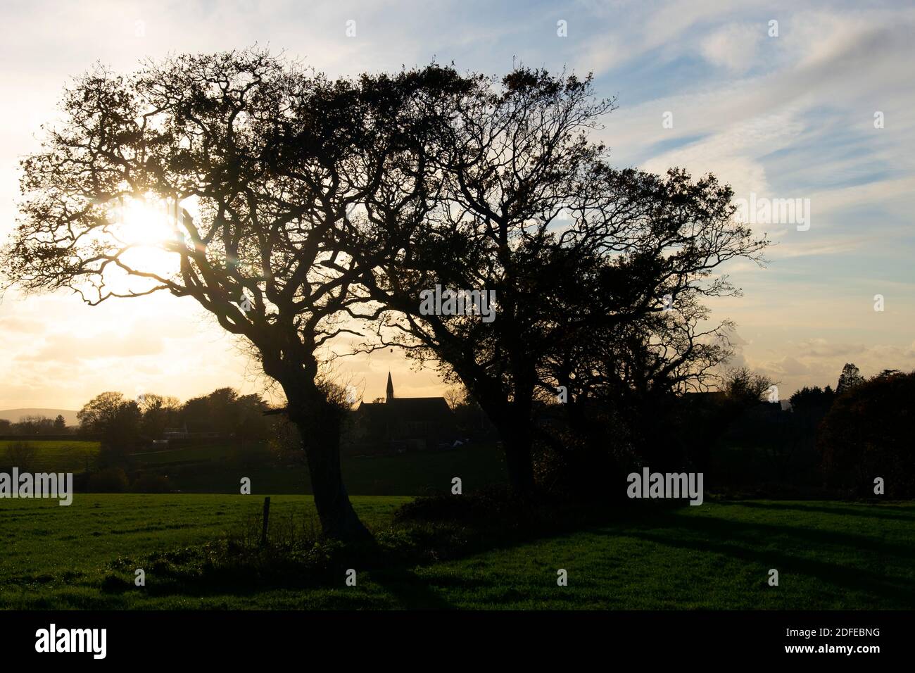 Inverno,alberi,chiesa,rurale,villaggio,tramonto,fattoria;terra,Gurnard,Isola di Wight,Regno Unito, Foto Stock
