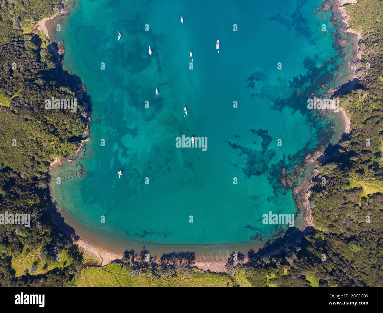 Barche a vela all'ancora nella Baia delle Isole, Nuova Zelanda Foto Stock