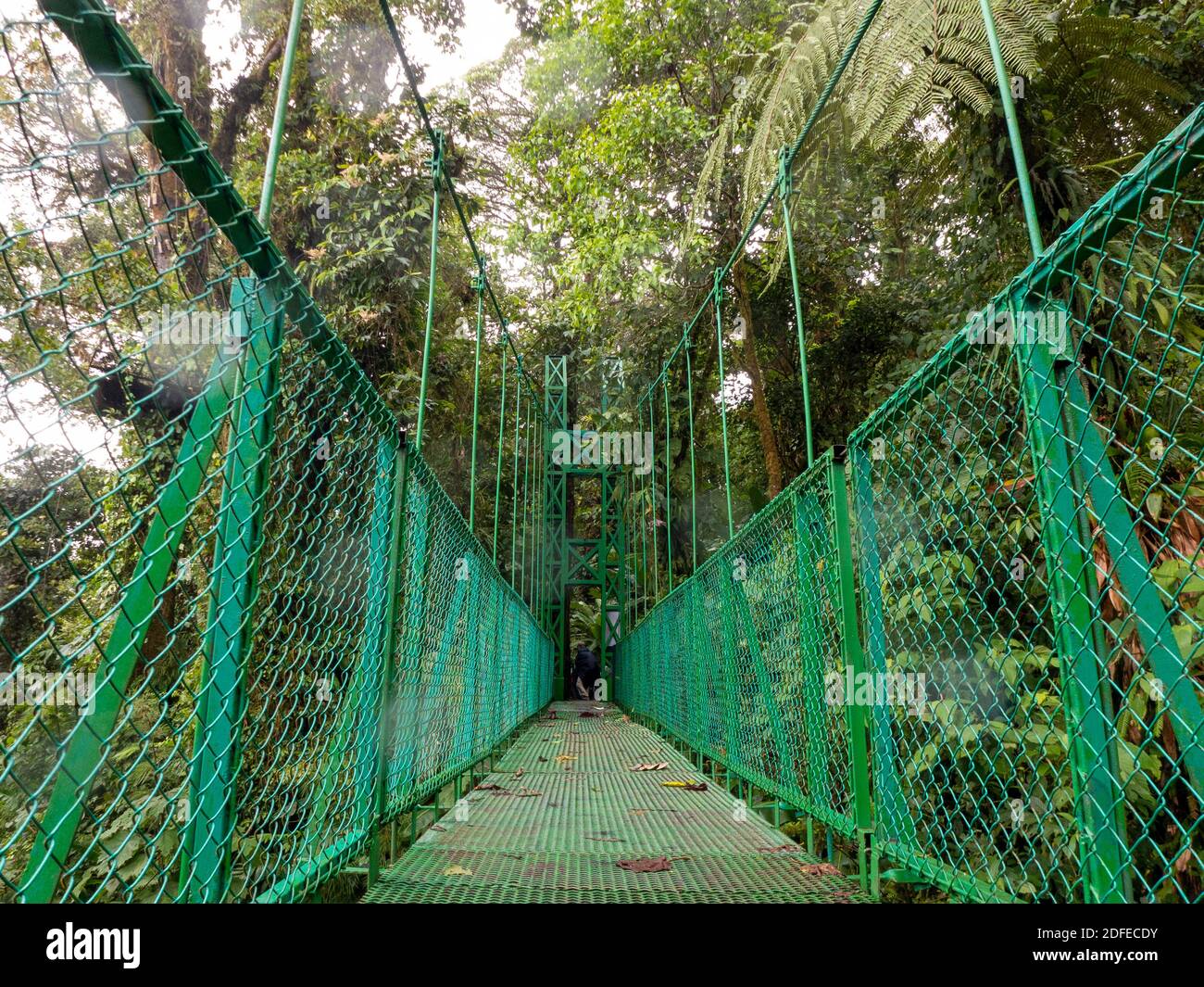 Ponte sospeso in metallo nella foresta pluviale della Costa Rica. Con una splendida vista sulle cime degli alberi della foresta tropicale. , Foto Stock