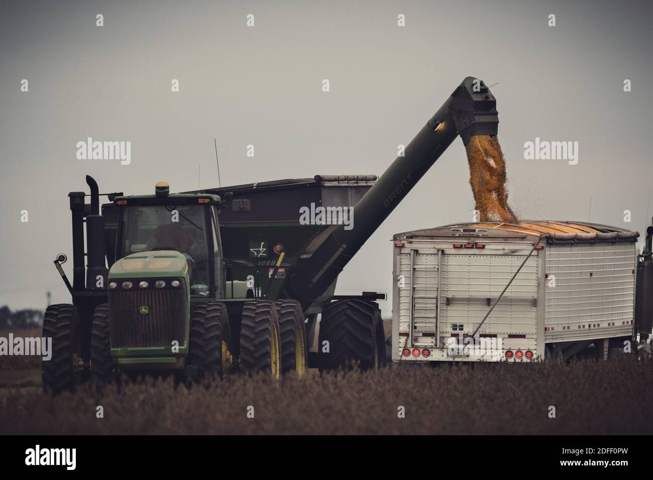 Un semi per il trasporto della granella viene caricato da un trattore John Deere e da un carro a gravità nella contea di Jackson, Indiana. La scena è parzialmente oscura dalla soia. Foto Stock