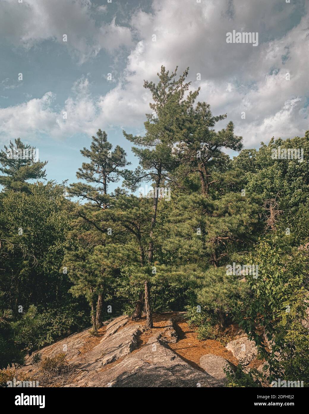La vista da Table Rocks nella Mohonk Preserve, Shawangunk Mountains, New York Foto Stock