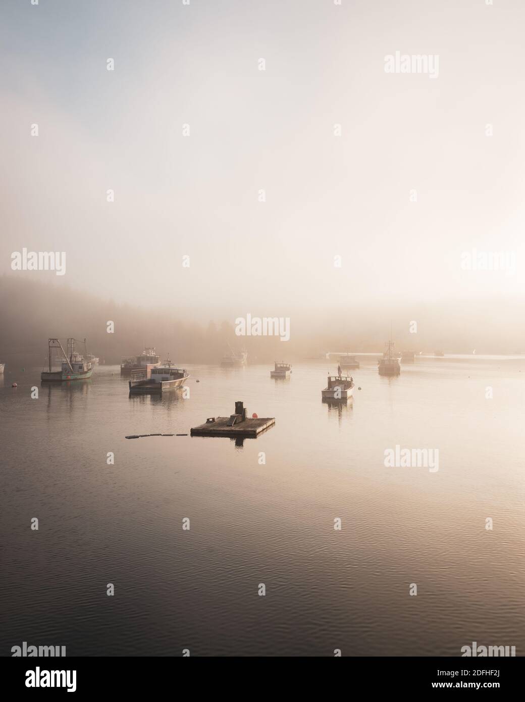 Barche nel fiume piccolo, nel porto di Cutler, Maine Foto Stock