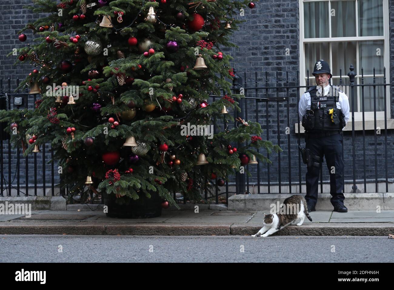 Un ufficiale di polizia con Larry il gatto a Downing Street, Londra. Boris Johnson e il presidente della Commissione europea Ursula von der Leyen stanno per tenere colloqui di emergenza mentre i negoziati su un accordo commerciale post-Brexit vanno a filo. Foto Stock