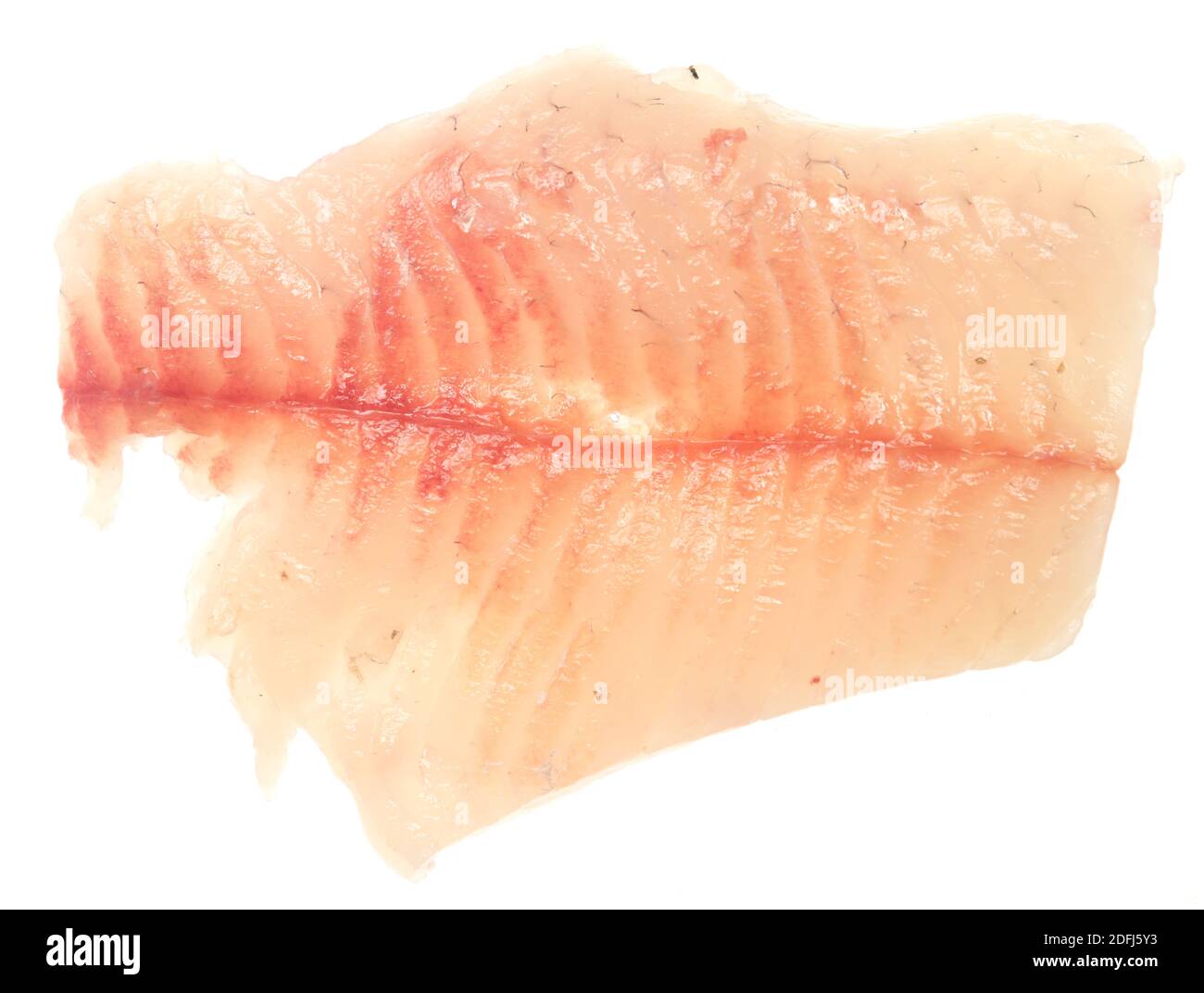 Filetto di pesce su sfondo bianco Foto Stock