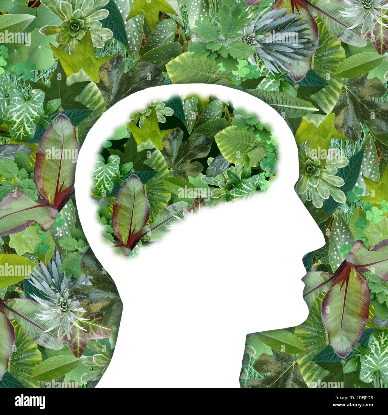 Verde lussureggiante foglie di Giardino, intorno e dentro il profilo cerebrale umano - Collage Foto Stock