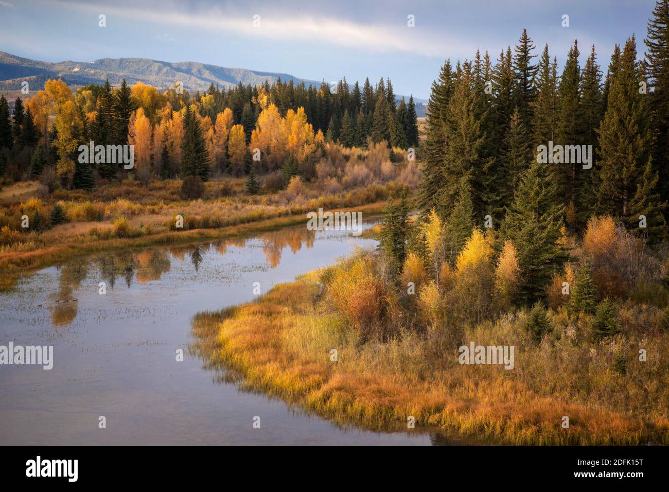 Bellissimo Colore di autunno nel Parco Nazionale di Grand Teton in Wyoming Foto Stock