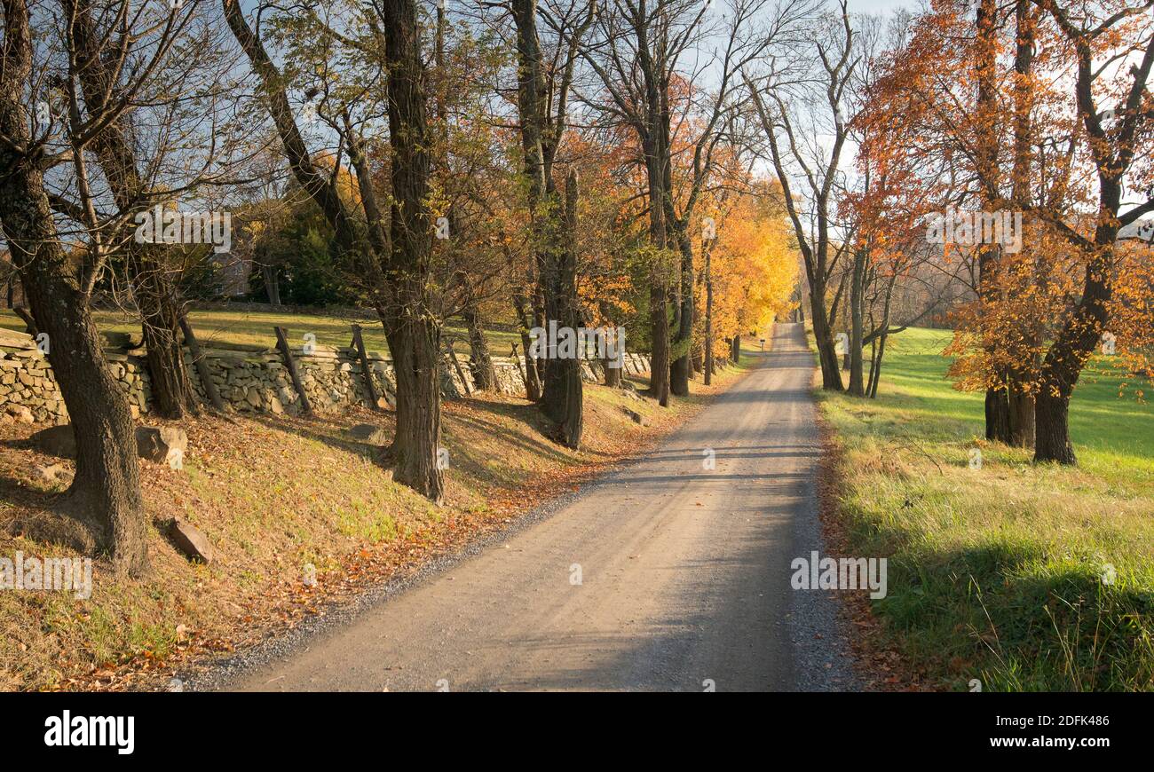Scenografica strada di campagna si snoda lungo Bull Run Mountain nel Piemonte Virginia. Foto Stock