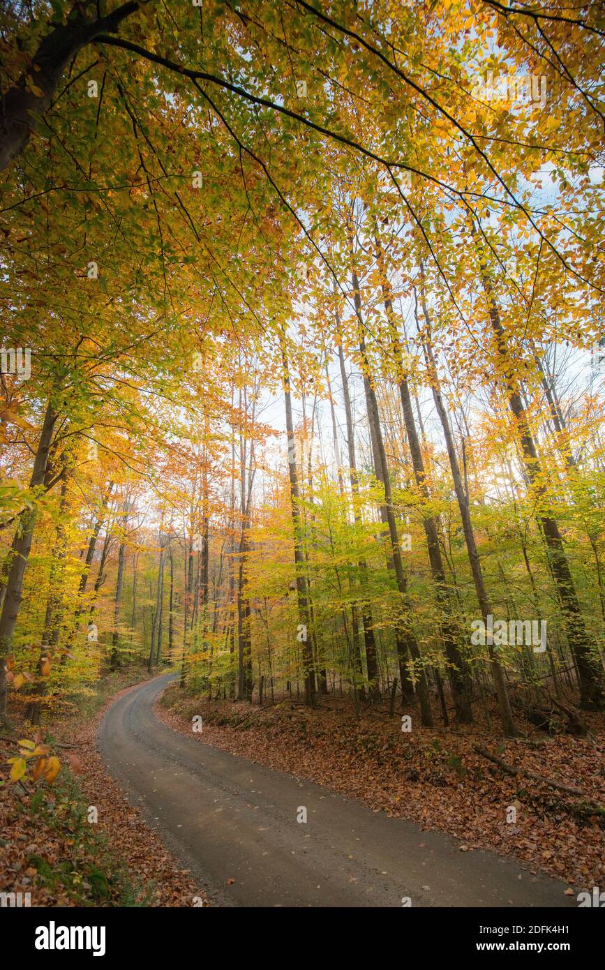 Scenografica strada di campagna si snoda lungo Bull Run Mountain nel Piemonte Virginia. Foto Stock