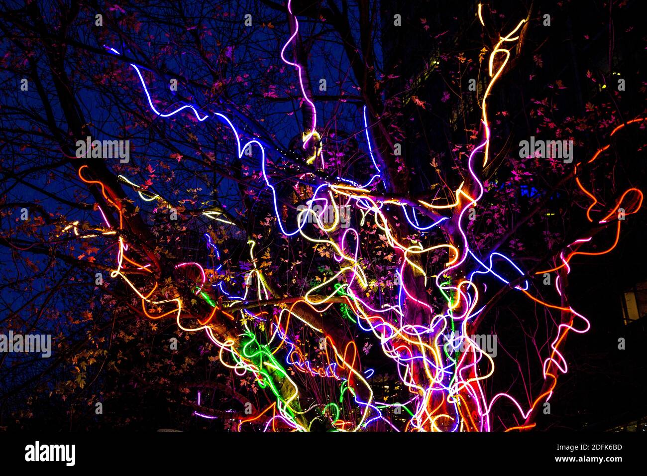 5 dicembre 2020 - Londra, UK, Connected by Light curated light art installations on display, Neon Tree by Hawthorn in Canary Wharf Foto Stock
