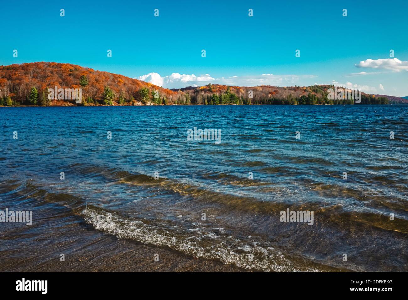 Nella stagione autunnale, le onde si avvolgono su una spiaggia ai margini di un lago blu. Sull'altro lato dell'acqua, colline di alberi sempreverdi e arancio e yello Foto Stock