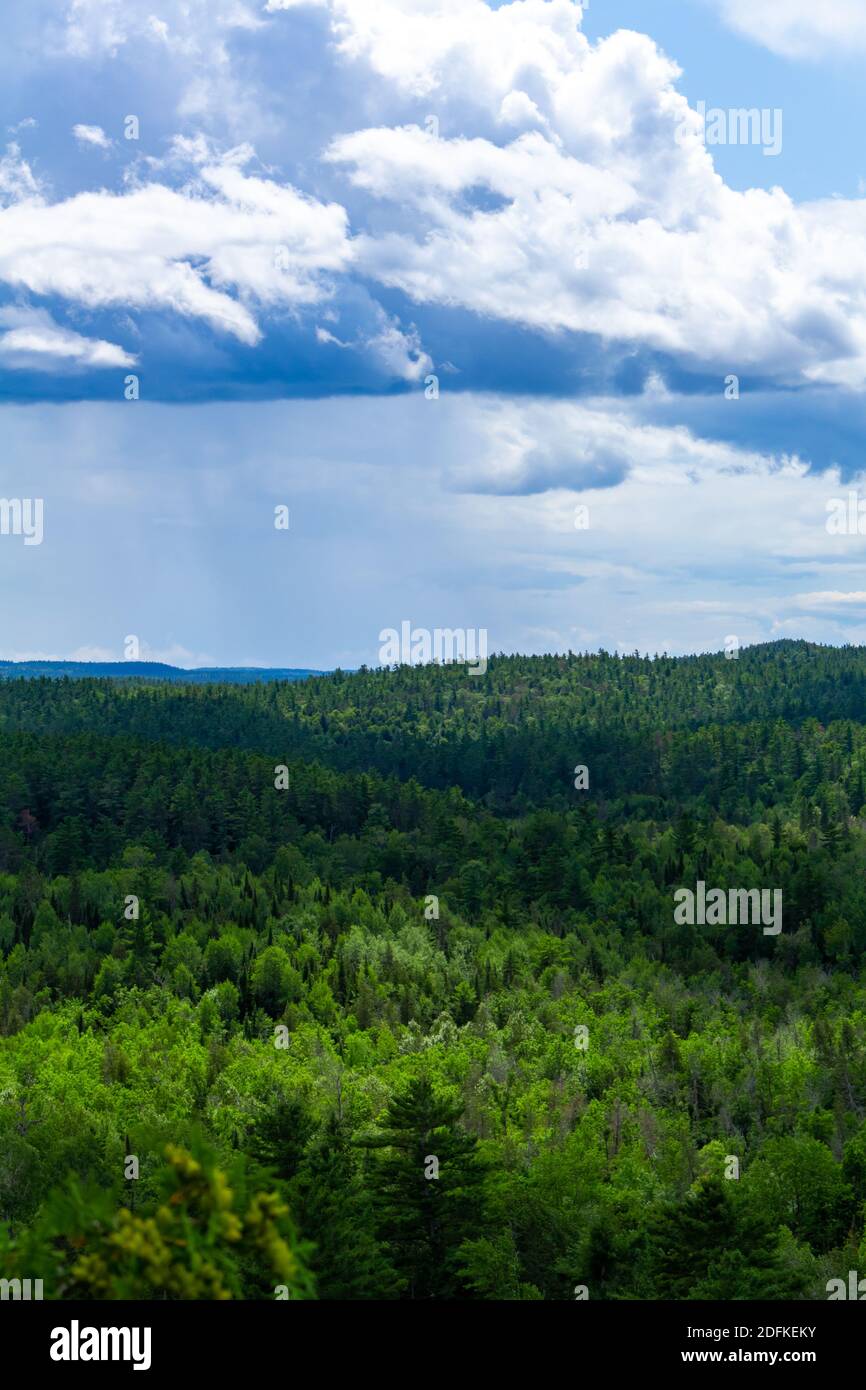 Un paesaggio orientato verticalmente di vaste colline coperte da una foresta di alberi verdi sotto un cielo blu con nuvole soffici. Foto Stock
