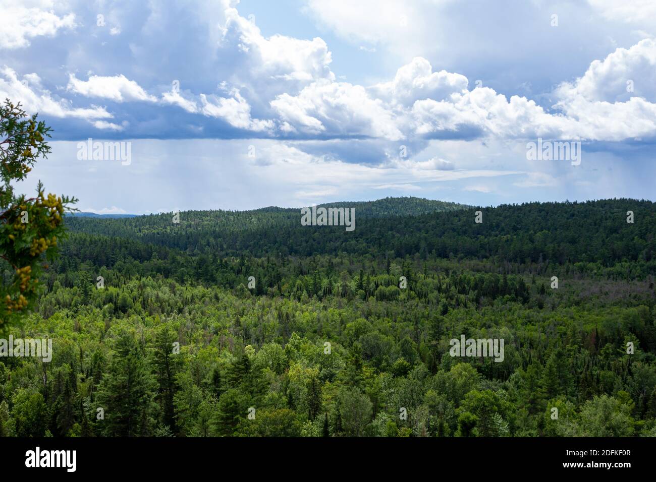 Un paesaggio di verdi colline boschive si estende su un'ampia area, che appare vasta come il paesaggio nuvoloso sopra di essa. Foto Stock
