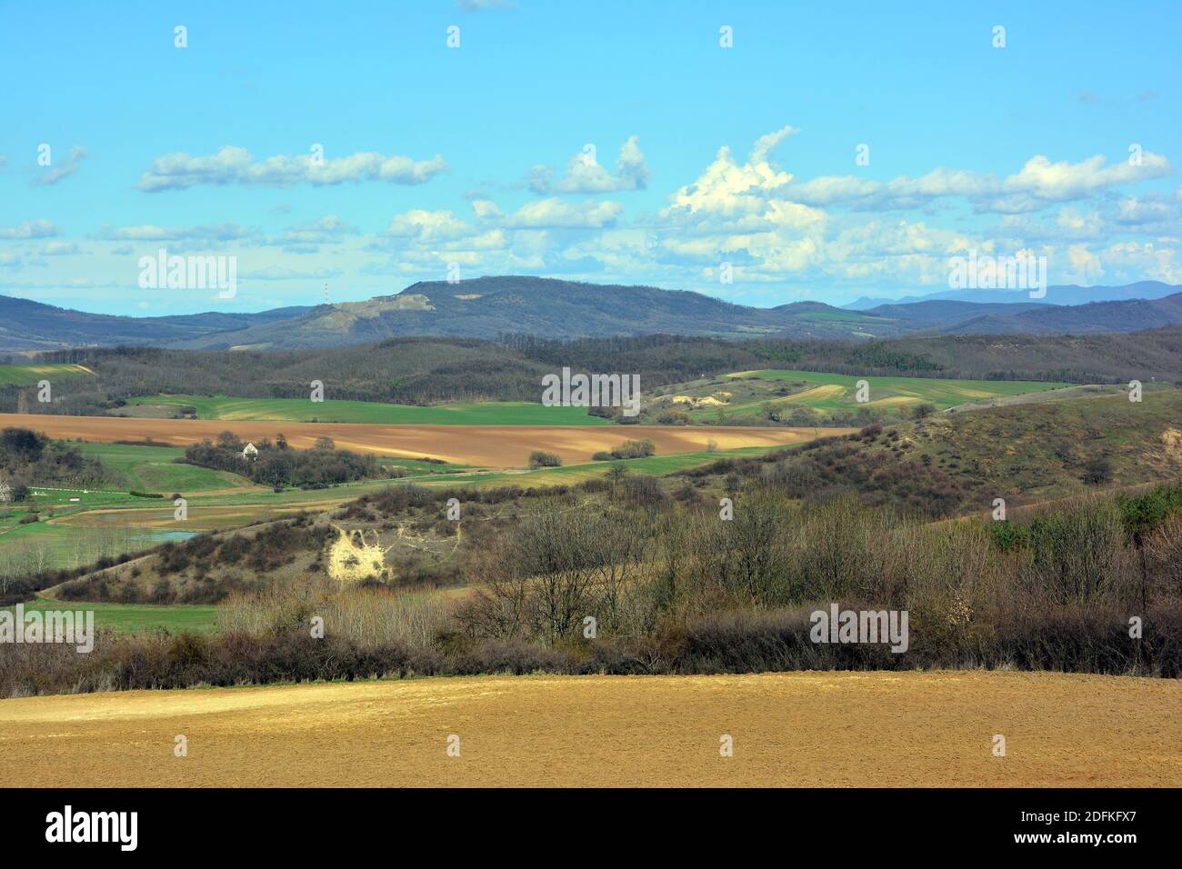 Montagna di Cserhát, Monti Ungheresi del Nord, Ungheria, Magyarország, Europa Foto Stock