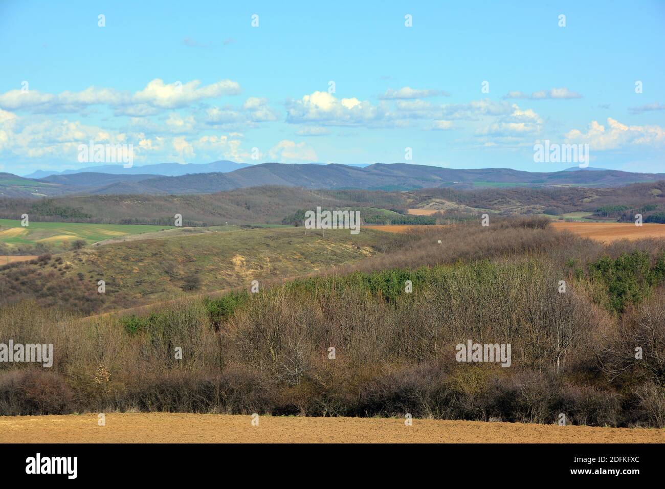 Montagna di Cserhát, Monti Ungheresi del Nord, Ungheria, Magyarország, Europa Foto Stock