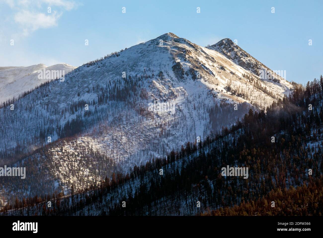 Neve coperta Simmons Peak; altitudine 12.050'; vicino a Salida; Colorado; USA Foto Stock