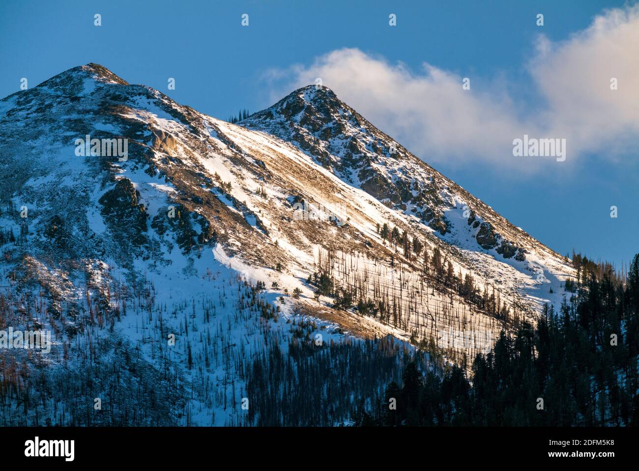 Neve coperta Simmons Peak; altitudine 12.050'; vicino a Salida; Colorado; USA Foto Stock