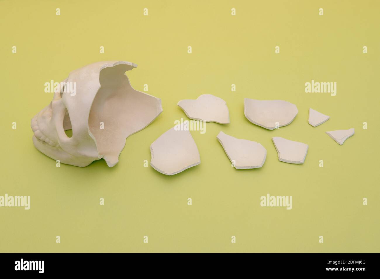 Cranio bianco rotto in pezzi. Sfondo astratto Foto Stock