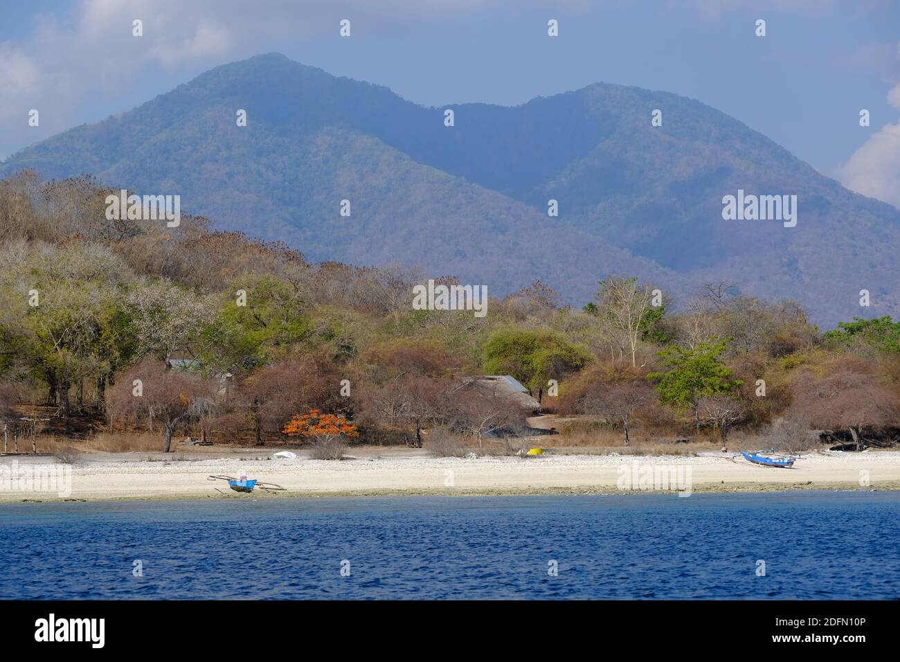 Indonesia Alor - colorato paesaggio costiero sull'isola di Nuhakepa Foto Stock