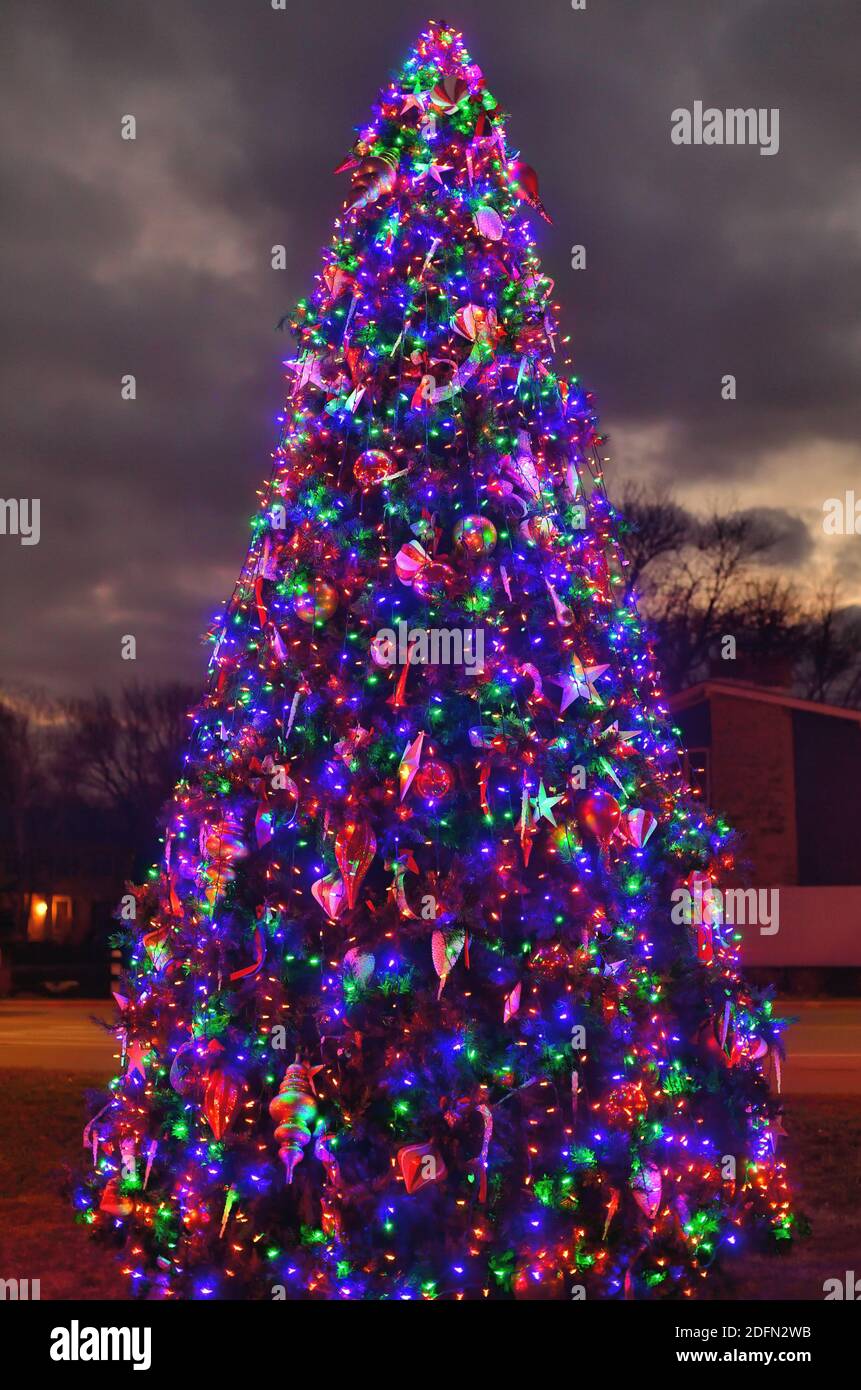Bartlett, Illinois, Stati Uniti. Un grande albero di Natale della comunità decorato con più stringhe di luci per la stagione delle vacanze. Foto Stock