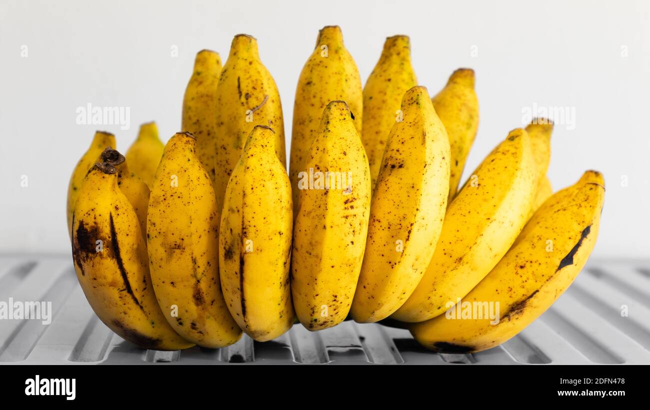 Mano di banane Cavendish su sfondo bianco Foto Stock