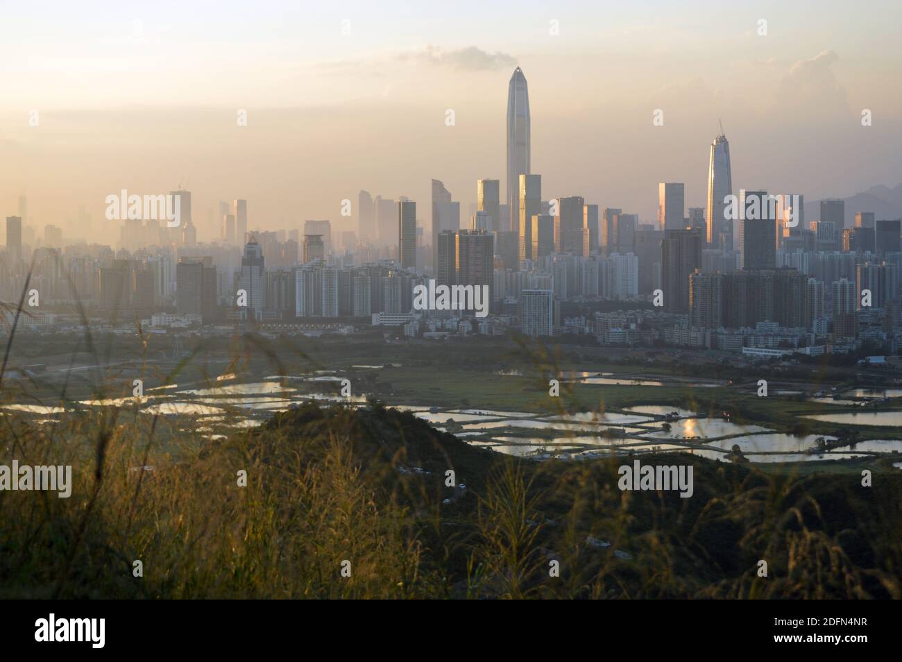 Skyline del quartiere Futian, Shenzhen, Cina vista dal nord di Hong Kong Foto Stock