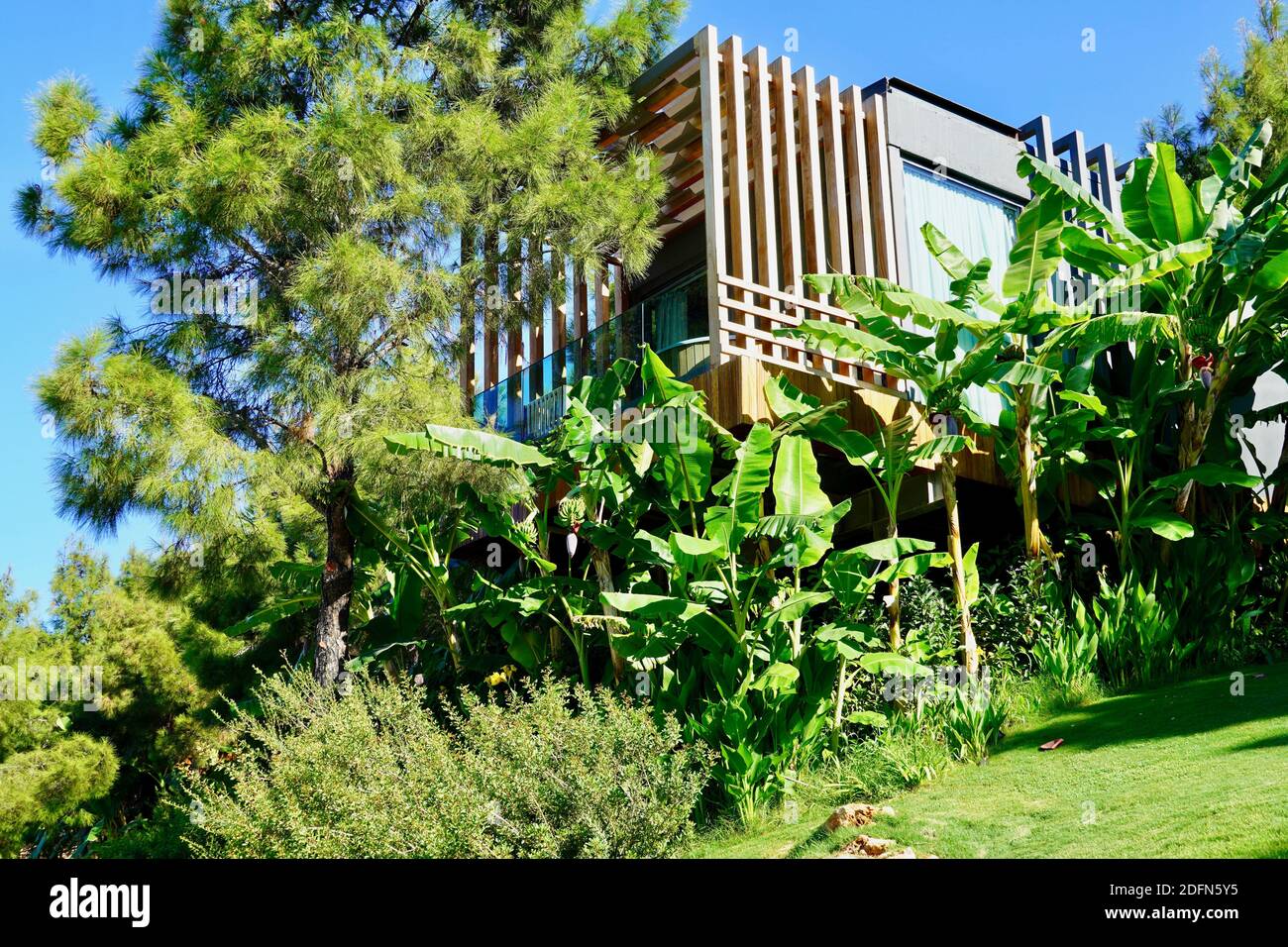 Elegante villa di lusso nel mezzo di bambù spesso, interessante design soluzione di interni Foto Stock