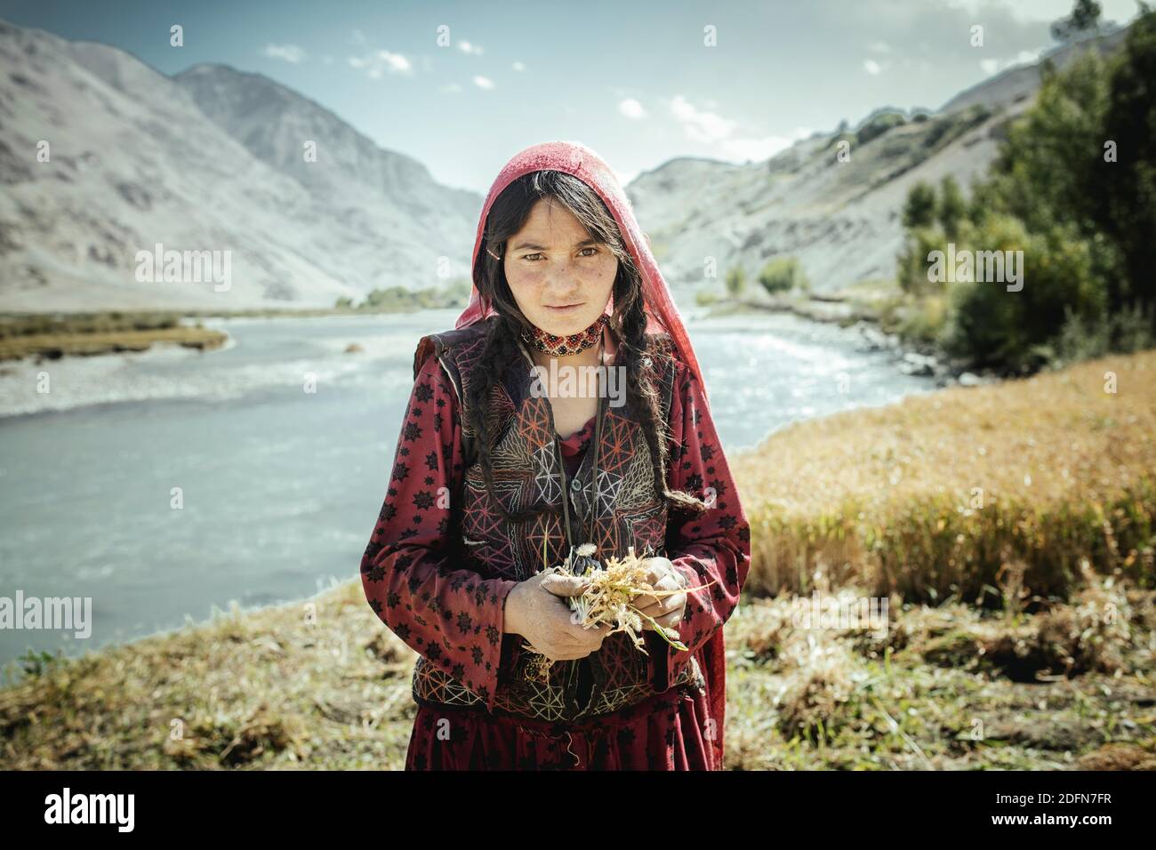 Ragazza, 8 anni, mazzi piccoli yarb di grano, membri del gruppo etnico del sedentario Wakhi, Khandud, Wakhan Corridor, Afghanistan Foto Stock