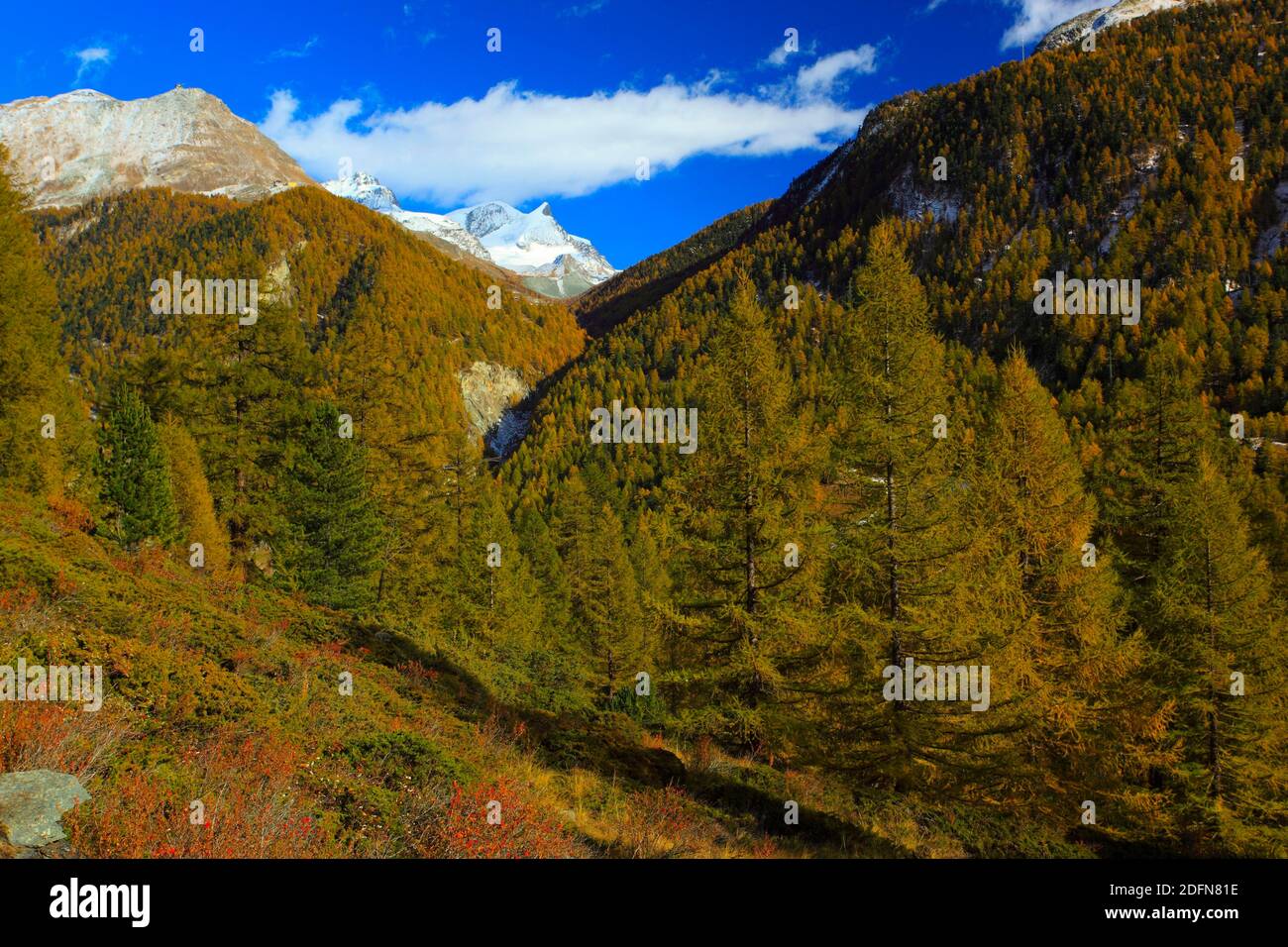 Montagne di Strahlhorn e Adlerhorn, Alpi Vallesi, Canton Vallese, Svizzera Foto Stock