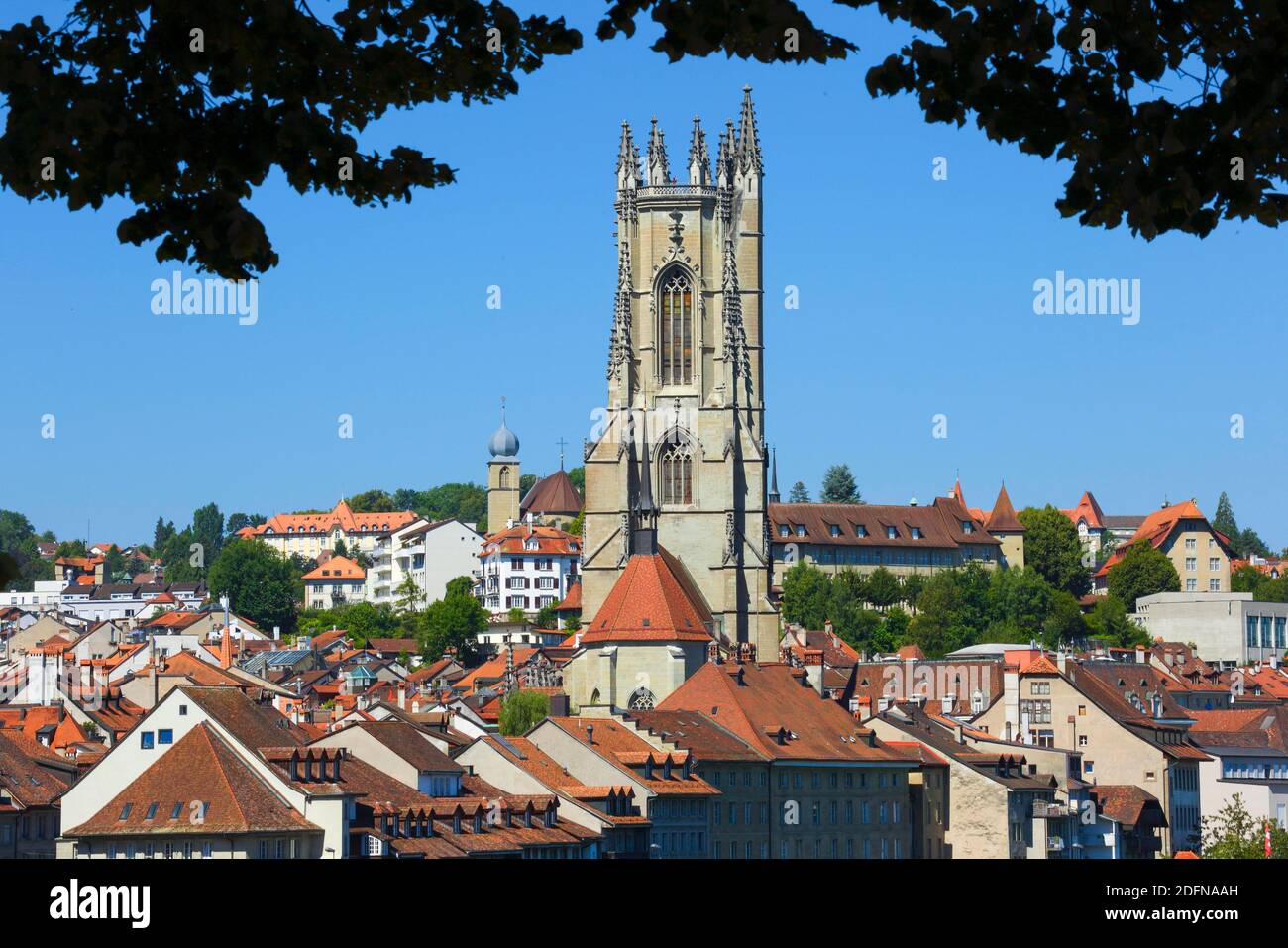 Cattedrale di San Nicola, Friburgo, Canton Friburgo, Svizzera Foto Stock